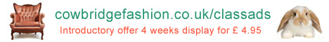 cowbridge fashion classads