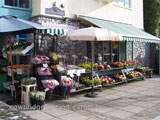 cowbridgefashion tv