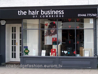 The Hair Business