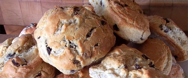 Fresh scones from Elephant and Bun