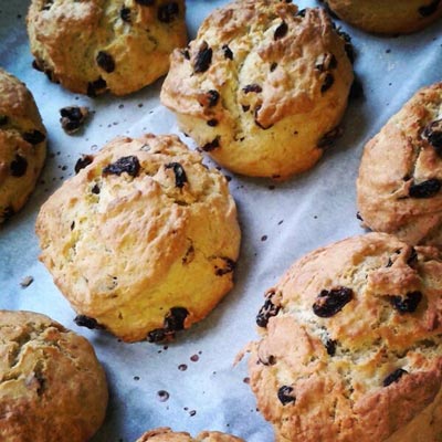 Elephant and Bun Cowbridge Scones